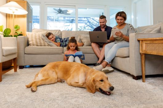 family on the internet with their dog lounging on the floor