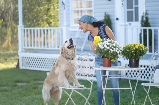 Woman with flowers giving attention to jumping dog